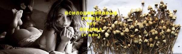 сатива Алексин