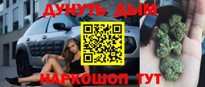 шишки Абакан