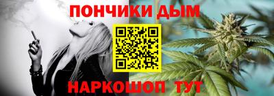 шишки Абакан