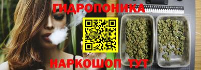 шишки Абакан