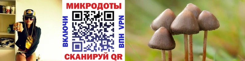 Псилоцибиновые грибы GOLDEN TEACHER  Алушта 