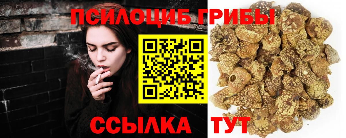 Алушта  Псилоцибиновые грибы MAGIC MUSHROOMS  Вход с VPN 